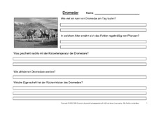 Dromedar-Fragen-1.pdf